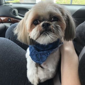 Meet your Posher, Rosanne